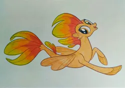 Size: 4013x2841 | Tagged: safe, artist:valpinamoon, derpibooru import, haven bay, seapony (g4), my little pony: the movie, dorsal fin, female, fin, fin wings, fins, fish tail, flowing tail, image, jpeg, open mouth, open smile, recolor, red mane, red tail, simple background, smiling, solo, swimming, tail, traditional art, white background, wings