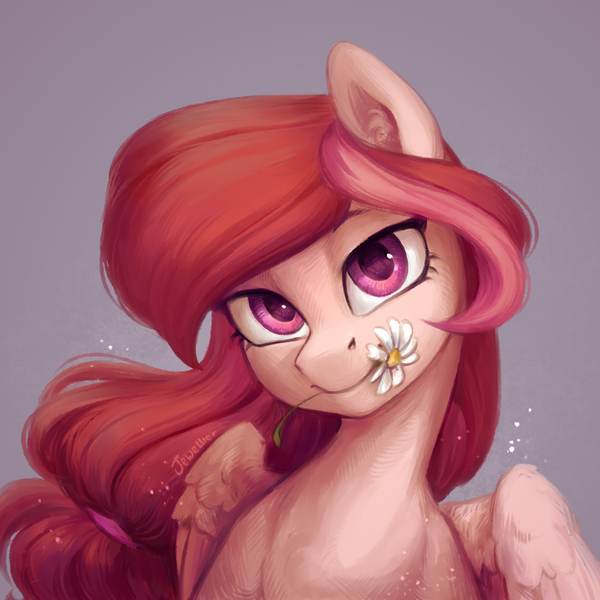 Size: 1500x1500 | Tagged: safe, artist:jewellier, derpibooru import, oc, unofficial characters only, pegasus, pony, bust, cute, daisy (flower), female, flower, flower in mouth, gray background, image, looking at you, mare, mouth hold, pegasus oc, png, portrait, simple background, solo, wings