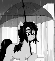 Size: 1262x1400 | Tagged: safe, artist:ravenirik, derpibooru import, oc, oc:floor bored, unofficial characters only, earth pony, pony, blank flank, earth pony oc, eyebrows, female, grayscale, hoof hold, image, mare, monochrome, png, rain, solo, umbrella