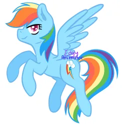 Size: 2000x2000 | Tagged: safe, artist:edgyanimator, derpibooru import, rainbow dash, pegasus, pony, blue coat, blue wings, digital art, ear fluff, female, firealpaca, flying, image, mare, multicolored hair, pink eyes, png, rainbow hair, raised hoof, raised hooves, simple, simple background, solo, spread wings, white background, wings