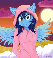 Size: 1440x1596 | Tagged: safe, artist:zorgycuddles, derpibooru import, oc, oc:zorgy cuddles, anthro, pegasus, clothes, hands behind back, hoodie, image, jpeg, looking at you, shy, sky, spread wings, sunset, wings