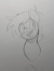 Size: 1536x2048 | Tagged: safe, artist:fullmetalsketch, derpibooru import, oc, unofficial characters only, pony, image, jpeg, male, open mouth, open smile, sketch, smiling, solo, stallion, traditional art