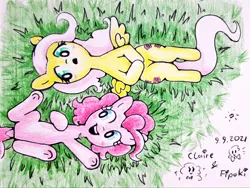 Size: 1024x768 | Tagged: safe, artist:fipoki, derpibooru import, fluttershy, pinkie pie, earth pony, pegasus, pony, cute, female, image, jpeg, lying down, mare, on back, open mouth, signature, spread wings, traditional art, underhoof, wings