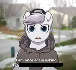 Size: 1500x1380 | Tagged: safe, artist:selenophile, derpibooru import, oc, oc:seleno, pegasus, baseball cap, bernie sanders, cap, dialogue, exploitable meme, hat, image, looking at you, meme, pegasus oc, png, text, wings