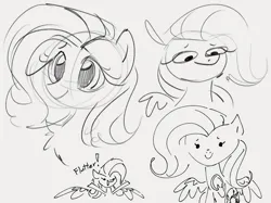 Size: 928x695 | Tagged: safe, artist:dotkwa, derpibooru import, fluttershy, pegasus, pony, cute, female, frog (hoof), gray background, grayscale, image, mare, monochrome, png, shyabetes, simple background, sketch, sketch dump, smiling, solo, spread wings, underhoof, wings