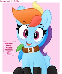 Size: 3016x3589 | Tagged: safe, artist:pabbley, artist:rainbowšpekgs, derpibooru import, rainbow dash, pegasus, pony, bronybait, chest fluff, clothes, collar, cute, dashabetes, female, image, looking at you, mare, pet-dash, png, pony pet, smiling, smiling at you, socks, solo, stockings, talking to viewer, thigh highs