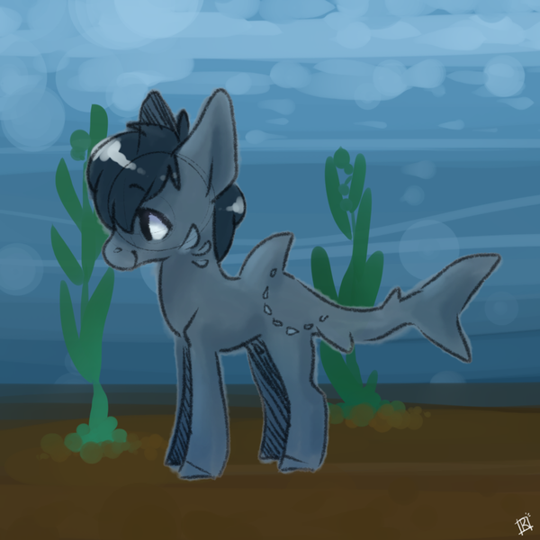 Size: 1280x1280 | Tagged: safe, artist:sinclair2013, derpibooru import, oc, unofficial characters only, original species, shark, shark pony, bubble, dorsal fin, fin, fish tail, image, ocean, png, seaweed, smiling, solo, tail, underwater, water