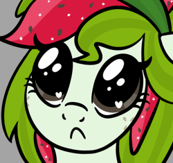 Size: 768x723 | Tagged: safe, artist:sjart117, derpibooru import, oc, oc:watermelana, unofficial characters only, pony, animated, begging, big eyes, bust, eye shimmer, female, freckles, frown, gif, gray background, image, mare, meme, no bitches?, portrait, simple background, solo, wingding eyes