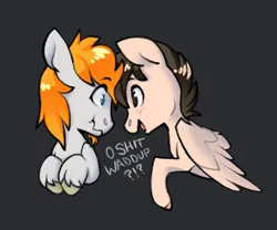 Size: 1050x875 | Tagged: safe, artist:sinclair2013, derpibooru import, oc, oc:sinclair, unofficial characters only, pegasus, pony, duo, image, looking at each other, looking at someone, male, png, simple background, stallion, vulgar
