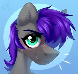 Size: 1800x1700 | Tagged: safe, artist:rtootb, derpibooru import, oc, unofficial characters only, earth pony, pony, blue background, blushing, bust, ear fluff, ear piercing, eyelashes, femboy, feminine stallion, gray fur, green eyes, icon, image, looking at you, male, piercing, png, portrait, purple hair, purple mane, simple background, smiling, smiling at you, smirk, smug, stallion, stallion oc