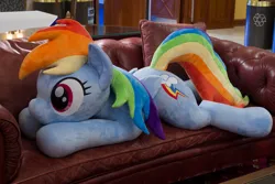 Size: 4846x3231 | Tagged: safe, artist:azgchip, derpibooru import, rainbow dash, pegasus, pony, couch, cute, dashabetes, female, image, irl, life size, lying down, mare, photo, plushie, png, prone, recycle bin, solo, sploot