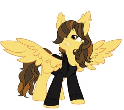 Size: 1340x1182 | Tagged: safe, artist:thieftea, derpibooru import, ponified, pegasus, pony, chest fluff, clothes, commission, ear fluff, hair over one eye, image, jacket, lidded eyes, long mane, long sleeves, long tail, looking up, male, png, simple background, solo, spread wings, stallion, standing, tail, the academy is..., trap, white background, william beckett, wings
