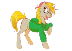 Size: 3508x2480 | Tagged: safe, derpibooru import, oc, unofficial characters only, earth pony, pony, brackets, clothes, hoodie, image, male, png, stallion