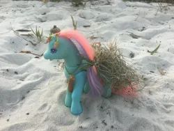 Size: 4032x3024 | Tagged: safe, derpibooru import, ivy, earth pony, pony, acorn, bow, cactus, clothes, dress, druid, female, florida, flower, flower in hair, g2, grass, hair bow, image, irl, jewelry, jpeg, mare, necklace, photo, pinecone, plant, sand, solo, toy