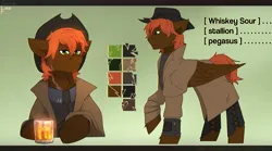 Size: 2700x1500 | Tagged: safe, artist:sinrinf, derpibooru import, oc, oc:whiskey sour, pegasus, pony, fallout equestria, alcohol, clothes, coat, commission, cowboy hat, hat, image, pipbuck, png, reference sheet, solo, whiskey, ych result