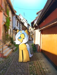 Size: 3000x4000 | Tagged: safe, artist:miwq, derpibooru import, oc, oc:aurore soleilevant, pony, unicorn, house, image, irl, looking at you, orange coat, photo, png, ponies in real life, solo, town