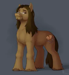 Size: 3568x3873 | Tagged: safe, artist:dorkmark, artist:rcooper, derpibooru import, oc, oc:solid punch, unofficial characters only, earth pony, pony, beard, cutie mark, earth pony oc, facial hair, fetlock tuft, glasses, image, male, png, stallion, unshorn fetlocks