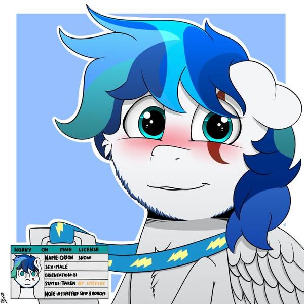 Size: 676x676 | Tagged: questionable, artist:h3nger, derpibooru import, oc, oc:orion snow, pegasus, bisexual, blushing, eye scar, facial scar, horny on main, id card, image, implied shipping, implied spitfire, jpeg, pegasus oc, scar, simple background, wings