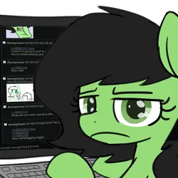 Size: 800x800 | Tagged: safe, derpibooru import, edit, oc, oc:anonfilly, pony, 4chan, 4chan screencap, computer, female, filly, image, keyboard, looking at you, png, racial slur, slur, unamused
