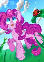 Size: 4961x7016 | Tagged: safe, artist:hisp, derpibooru import, pinkie pie, earth pony, insect, pony, blue eyes, chest fluff, cloud, derpibooru exclusive, female, grass, grass field, image, jpeg, perspective, plane, solo