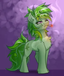 Size: 1856x2184 | Tagged: safe, artist:witchtaunter, derpibooru import, oc, earth pony, pony, bloodshot eyes, blunt, commission, commissioner:reversalmushroom, drugs, female, image, lidded eyes, mare, marijuana, meme, png, smoke, smoking, solo