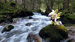 Size: 1192x670 | Tagged: safe, derpibooru import, fluttershy, bat pony, pegasus, pony, bat ponified, flutterbat, forest, image, irl, jpeg, photo, ponies in real life, race swap, river, solo, stream, tree, water