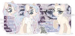 Size: 2142x1035 | Tagged: safe, artist:koribooo, derpibooru import, oc, unofficial characters only, earth pony, pony, rabbit, animal, bald, braid, braided tail, bust, earth pony oc, eyelashes, female, image, mare, png, raised hoof, tail