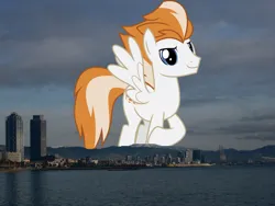 Size: 1024x768 | Tagged: safe, artist:chainchomp2 edits, derpibooru import, edit, editor:jaredking779, fire streak, pegasus, pony, barcelona, giant pegasus, giant pony, highrise ponies, image, irl, jpeg, looking at you, macro, male, mega giant, photo, ponies in real life, smiling, solo, spain, spread wings, stallion, wings