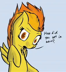 Size: 3736x4096 | Tagged: safe, artist:simplesample, derpibooru import, spitfire, pegasus, image, jpeg, looking at you, simple background, solo, talking to viewer