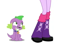 Size: 948x684 | Tagged: safe, derpibooru import, spike, spike the regular dog, twilight sparkle, dog, equestria girls, image, legs, pictures of legs, png, simple background, white background