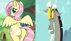 Size: 2048x1180 | Tagged: suggestive, artist:an-tonio, artist:pananovich, derpibooru import, edit, edited screencap, screencap, discord, fluttershy, anthro, draconequus, pegasus, pony, keep calm and flutter on, ass, butt, cute, duo, duo male and female, female, flutterbutt, frown, image, looking at you, looking back, looking back at you, male, mare, partially open wings, plot, png, rear view, smiling, smiling at you, spread wings, surprised, teeth, wings
