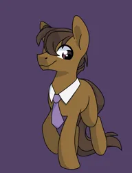 Size: 875x1138 | Tagged: safe, artist:sinclair2013, derpibooru import, oc, unofficial characters only, earth pony, pony, image, male, necktie, png, simple background, solo, stallion