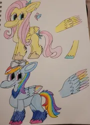 Size: 2806x3876 | Tagged: safe, artist:mintwhistle, derpibooru import, fluttershy, rainbow dash, butterfly, insect, pegasus, pony, aviator goggles, bandana, bow, coat markings, colored wings, crayon drawing, duo, duo female, feathered fetlocks, female, flower, flower in hair, g4, g4 to g5, g5, generation leap, goggles, hoof shoes, image, jpeg, looking back, mare, missing cutie mark, multicolored wings, redesign, sketchbook, smiling, spread wings, tail, tail bow, traditional art, unshorn fetlocks, wings