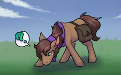 Size: 1280x800 | Tagged: safe, artist:sinclair2013, derpibooru import, oc, unofficial characters only, pony, bag, clothes, grass, image, male, png, saddle bag, scarf, solo, stallion