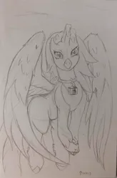 Size: 2004x3060 | Tagged: safe, artist:edgarkingmaker, derpibooru import, oc, oc:sea lilly, unofficial characters only, classical hippogriff, hippogriff, camera, cute, image, jewelry, jpeg, necklace, ocbetes, simple background, sketch