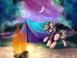 Size: 3306x2500 | Tagged: safe, artist:mysha, derpibooru import, oc, oc:nettle vienna, unofficial characters only, earth pony, pony, campfire, camping, earth pony oc, female, image, logo, mare, moon, png, tent