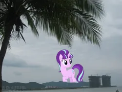 Size: 1600x1200 | Tagged: safe, derpibooru import, edit, starlight glimmer, pony, unicorn, china, cloud, cloudy, coconut, coconut tree, female, food, giant pony, giantess, highrise ponies, image, irl, jpeg, macro, mare, palm tree, photo, ponies in real life, sanya, solo, tree