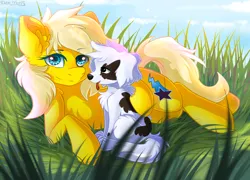 Size: 2560x1840 | Tagged: safe, artist:yuris, derpibooru import, oc, oc:lightning star, unofficial characters only, dog, earth pony, pony, animal, cloud, day, duo, ears up, field, grass, image, lies, png, puppy, sky, smiling, trade