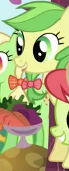 Size: 245x608 | Tagged: safe, derpibooru import, screencap, apple fritter, earth pony, pony, friendship is magic, apple family member, background character, background pony, cropped, female, image, mare, png