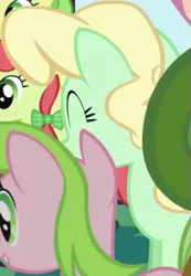 Size: 431x622 | Tagged: safe, derpibooru import, screencap, apple honey, apple tarty, earth pony, pony, friendship is magic, apple family member, background character, background pony, cropped, female, image, mare, png