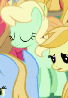 Size: 226x322 | Tagged: safe, derpibooru import, screencap, apple honey, apple tarty, earth pony, pony, friendship is magic, apple family member, background character, background pony, cropped, female, image, mare, png