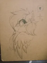 Size: 768x1024 | Tagged: safe, artist:coarfdraw, derpibooru import, oc, oc:jet blast, unofficial characters only, pegasus, pony, blushing, clipboard, cute, ear fluff, happy, image, irl, jpeg, looking at you, partially open wings, photo, smiling, wings
