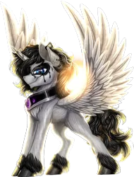 Size: 1560x2057 | Tagged: safe, artist:thatonegib, derpibooru import, oc, oc:noir, unofficial characters only, alicorn, alicorn oc, glasses, horn, image, looking at you, png, smiling, solo, spread wings, unshorn fetlocks, wings