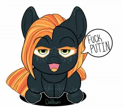 Size: 2048x1809 | Tagged: safe, artist:diethtwoo, derpibooru import, oc, oc:sweet peace, unofficial characters only, earth pony, pony, female, image, jpeg, looking at you, mare, swearing, vulgar