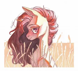 Size: 1280x1190 | Tagged: safe, artist:dorry, derpibooru import, oc, unofficial characters only, pony, unicorn, food, horn, image, jpeg, looking at you, partial background, scanned, simple background, solo, traditional art, unicorn oc, watercolor painting, wheat, wheat field, white frame