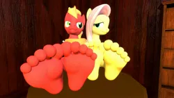 Size: 1920x1080 | Tagged: safe, artist:jhedral, derpibooru import, big macintosh, fluttershy, anthro, earth pony, pegasus, plantigrade anthro, pony, 3d, duo, feet, female, fluttermac, foot focus, image, jpeg, looking at each other, looking at someone, male, mare, shipping, soles, source filmmaker, stallion, straight
