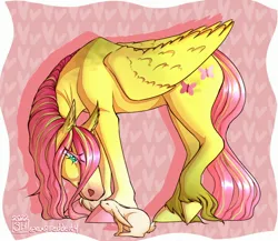 Size: 2640x2292 | Tagged: safe, artist:expireddeity, derpibooru import, angel bunny, fluttershy, gypsy vanner, horse, pegasus, pony, rabbit, animal, draft horse, female, image, jpeg, mare, raised hoof, realistic, realistic horse legs, solo, solo focus, unshorn fetlocks