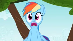 Size: 1280x720 | Tagged: safe, derpibooru import, screencap, rainbow dash, pegasus, pony, may the best pet win, d:, female, image, mare, open mouth, png, reaction image, shocked, solo, wide eyes