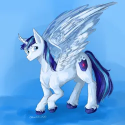 Size: 1280x1280 | Tagged: safe, artist:chaotic69_420, derpibooru import, shining armor, alicorn, pony, alicornified, curved horn, horn, image, jpeg, male, race swap, shiningcorn, solo