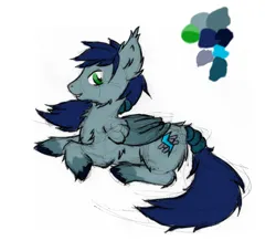 Size: 700x636 | Tagged: safe, artist:kassc, derpibooru import, oc, oc:cobalt blitz, unofficial characters only, pegasus, chest fluff, ear fluff, image, lying down, pegasus oc, png, sketch, solo, tail, tail wrap, unshorn fetlocks, wings